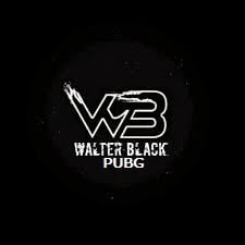 Walter Black PUBG